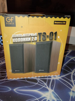 Колонки для компьютера GFPoWeR TS-01, 2.0, 6Вт, питание от USB, под дерево #18, Владимир П.