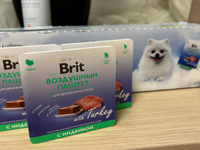 Корм для собак влажный BRIT PREMIUM воздушный паштет Индейка для щенков мини пород, 100 г x 14 шт #13, Eкатерина П.