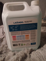 Лавандель Гель для стирки белья универсальный Lavandel 5 л 166 стирок, нежный цветочный аромат, концентрат, гипоаллергенный, биоразлагаемый #6, Светлана Л.