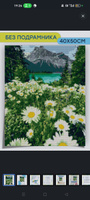 Алмазная мозаика Bright Color "Ромашки в горах" 40х50 на холсте, без подрамника #81, Анна К.