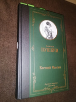 Евгений Онегин. Драмы | Пушкин Александр Сергеевич #7, Наталья П.