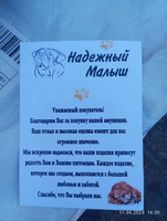 Намордник из натуральной кожи для средних и крупных пород собак № 4 #64, Алексей В.