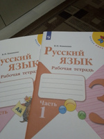 Набор рабочих тетрадей Русский язык, Математика, Окружающий мир 3 класс. Комплект из 6 штук. УМК "Школа России". ФГОС | Канакина Валентина Павловна, Моро Мария Игнатьевна #38, Надежда М.