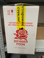 Роза в колбе живая, вечная, стабилизированная "PR" 27см, подарок маме, женщине, на 8 марта , на день рождения, цвет:красный #8, Елена Р.