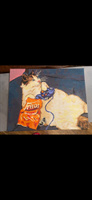Картина по номерам на холсте с подрамником 40х50 "Кот на чиле" / картина по номерам на подрамнике #16, Арина Б.