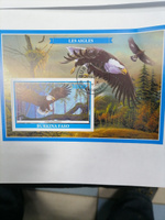 Набор марок #67 птицы Попугаи и Совы 12 блоков #6, Сергей С.
