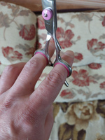 Ножницы из закалённой стали для стрижки собак кошек набор ножниц для груминга #42, Алексей С.