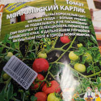 Томат МОНГОЛЬСКИЙ КАРЛИК, 1 пакет, семена 20 шт, Уральский Дачник, ультраскороспелый сорт #23, Валентина К.