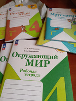 Математика, Русский язык, Окружающий мир 4 класс. Набор рабочих тетрадей. УМК Школа России. ФГОС | Канакина Валентина Павловна, Волкова Светлана Ивановна #4, Зоя С.