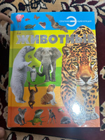 Книга, большая энциклопедия для детей, школьников про животных для чтения, с иллюстрациями | Спектор Анна Артуровна #1, Мария К.