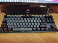 Игровая клавиатура Red Square Keyrox TKL Fireworks (RSQ-20037) G3ms Sapphire Switch черный/оранжевый Русская раскладка USB #74, Александр У.