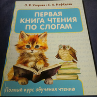 Первая книга чтения по слогам | Узорова Ольга Васильевна, Нефедова Елена Алексеевна #5, Анастасия Александровна