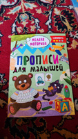 Развивающие прописи для малышей и дошкольников. Тетради для обучения и развития детей дошкольного возраста. МОЗАИКА kids. Одна тетрадь (разные сложности) / Набор из 4 прописей #2, Анастасия