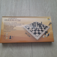 Шахматы пластиковые (29х14.5х3 см), в коробке #57, Дмитрий Б.