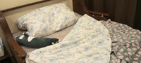 Сон cotton Комплект постельного белья, Поплин, 2-x спальный с простыней Евро, наволочки 70x70 #37, Дарья Л.