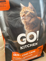 GO KITCHEN Cat Hair & Skin Care корм сухой беззерновой холистик для котят, взрослых кошек и котов, лосось, фрукты, овощи, 1,36 кг / Гоу Китчен Holistic Grain Free #33, Elena V.