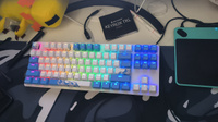 Игровая клавиатура Red Square Keyrox TKL Aquarius (RSQ-20036) G3ms Amber Switch белый/голубой Русская раскладка USB #31, Дмитрий С.