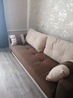 Прямой диван-кровать Мичиган 13 раскладной для гостиной мебель, механизм еврокнижка, опоры хром #1, Людмила М.