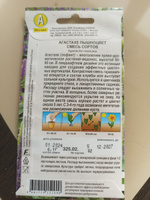 АГАСТАХЕ ПЫШНОЦВЕТ. Семена. Вес. 0,1 гр. Агастахе (лофант) многолетнее, пряно-ароматическое растение-медонос, #29, Наталья