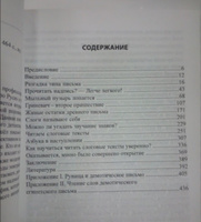 Письмо "Икс" найдено | Чудинов Валерий Алексеевич #1, Дарья C.