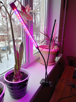 Фитолампа для растений и рассады полный спектр на прищепке 2 лампы #48, Алексей Р.