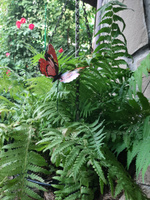 Набор бабочек для клумб, цветов в горшках, декор для дома 15 штук, высота 30 см #1, Каралина Т.