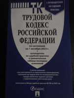 Трудовой кодекс 2024 (по сост. на 25.09.24) с таблицей изменений и с путеводителем по судебной практике. (ТК РФ 2024) #29, Светлана Т.