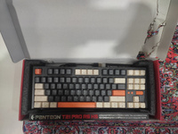 Клавиатура PANTEON T21 PRO RS HS Black-Grey-Ivory (66) (TKL 80%, подсветка LED RGB, Outemu Red, 87 кл, HotSwap, USB/Bluetooth/2,4 Ггц, ПО) #46, Евгений