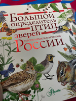 Большой определитель птиц, зверей, насекомых и растений России | Волцит Петр Михайлович, Пескова Ирина Михайловна #4, Ирина