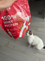 Протеин сывороточный 100% Whey Protein, диетический протеиновый коктейль без сахара для похудения и диеты со вкусом клубники #32, Константин Г.