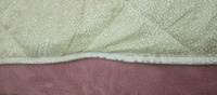 BIGTEX Одеяло 1,5 спальный 140x205 см, Летнее, с наполнителем Силиконизированное волокно, комплект из 1 шт #2, Елена А.