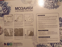 Алмазная мозаика 40х50см на подрамнике. Девушка в красной перчатке. #30, Кристина