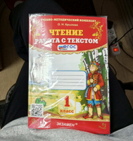 Чтение. Работа с текстом. 1 класс Крылова | Крылова Ольга Николаевна #1, Евгения К.