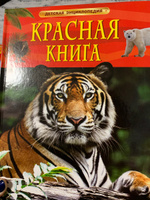 Красная книга. Детская энциклопедия школьника 7 лет. Редкие и исчезающие животные | Шейх-Миллер Джонатан #4, Светлана В.