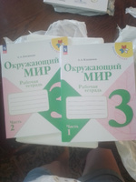 Окружающий мир 3 класс. Рабочая тетрадь в 2-х частях (комплект) Новый ФГОС. Плешаков А.А. | Плешаков А. #2, Ольга А.