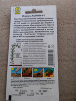 ОГУРЕЦ КОННИ F1, Семена. Вес 10 шт. Гибрид универсального назначения. #23, Кира С.