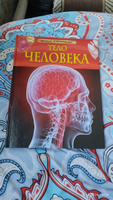 Тело человека. Детская энциклопедия школьника 7 лет | Смит М. #8, Мария Г.