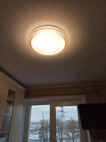 Потолочная светодиодная люстра My Light с эффектом звездного неба, 48W, круглая, бронзовая, с пультом управления, для всех видов потолков, светильник 2233/2 BR LED #26, Наталья П.