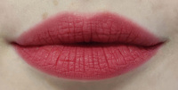 Матовый увлажняющий тинт для губ ROM&ND Blur Fudge Tint, 07 Cool Rose Up, 5 g (стойкая жидкая бархатная помада) #19, Елена К.