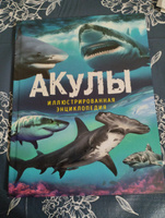 Акулы. Иллюстрированная энциклопедия | Мэйсон Пол #9, Anna K.