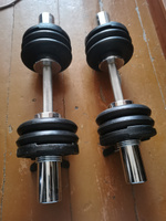 Диск (блин) обрезиненный TITAN Barbell 1,25 кг (d51) #5, Рустем А.