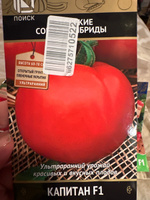 Семена томатов "Капитан F1", 12 шт, для дома, дачи и огорода, в открытый грунт, в контейнер, на рассаду, помидоры из семян. #36, Наталья П.