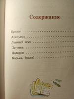 Комплект "Большие и маленькие приключения с Хвостиком + Похитители котов" | Доброчасова Анна Юрьевна #2, Галина В.