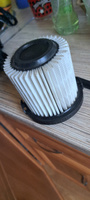 Патронный фильтр для вертикального пылесоса Karcher VC5 #2, Юрий Д.
