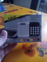 Радиоприемник цифровой CMIK MK-140 FM/USB/MP3, серебристый #2, Елена Б.