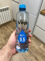 Вода природная, питьевая, щелочная (pH 9.5), негазированная/ VIRGO fons/Вода Вирго/6 шт. х 0,5 л. ПЭТ #39, Панин Максим