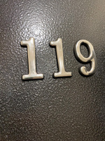 Цифра на дверь квартиры самоклеящаяся №119 с липким слоем Серебро, номер дверной Хром, Все цифры от 0 до 120 #49, Марина К.