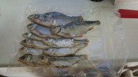 Набор рыбы к пиву : Судак Вобла Красноперка #7, Елена Г.