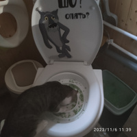 Система приучения кошек к унитазу для всех возрастов, туалет кошачий #6, Елена Р.
