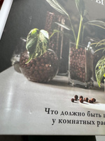 Что должно быть в горшке у комнатных растений. Беспочвенные мифы | Петровская Анна Вячеславовна #3, Анастасия А.